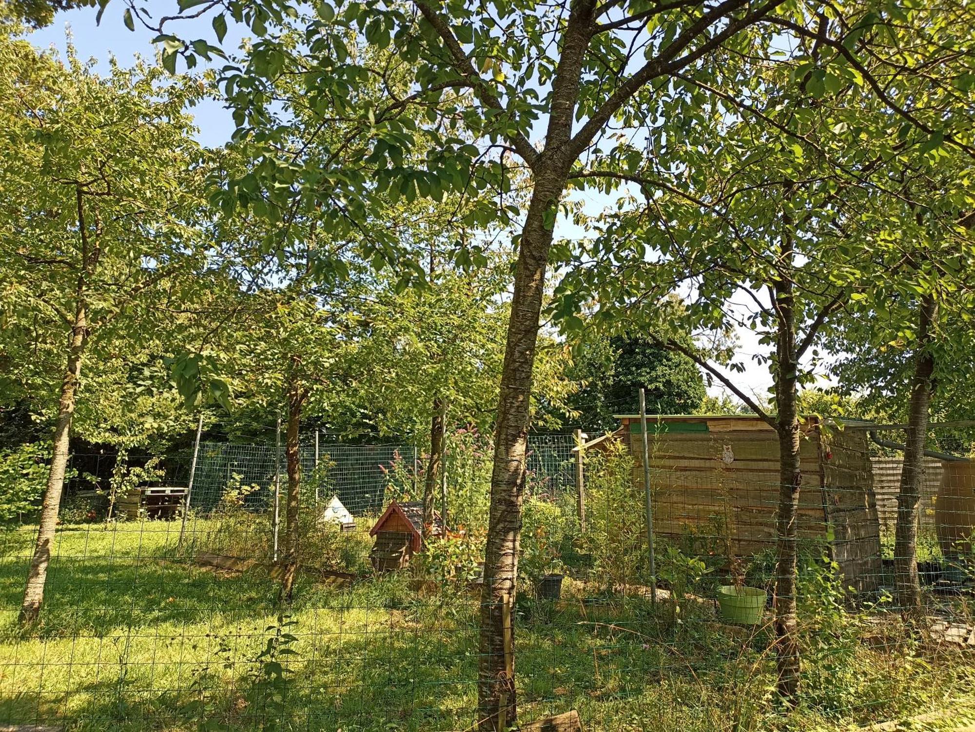 Gite Nature Et Detente Aubréville Exterior foto