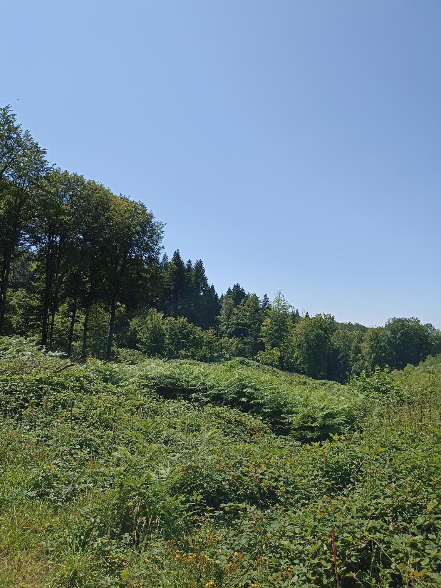 Gite Nature Et Detente Aubréville Exterior foto