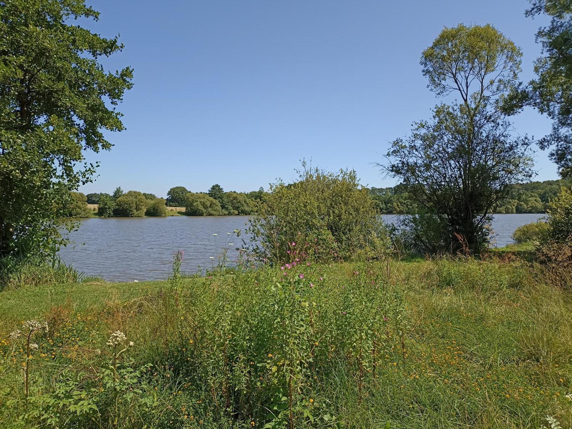 Gite Nature Et Detente Aubréville Exterior foto
