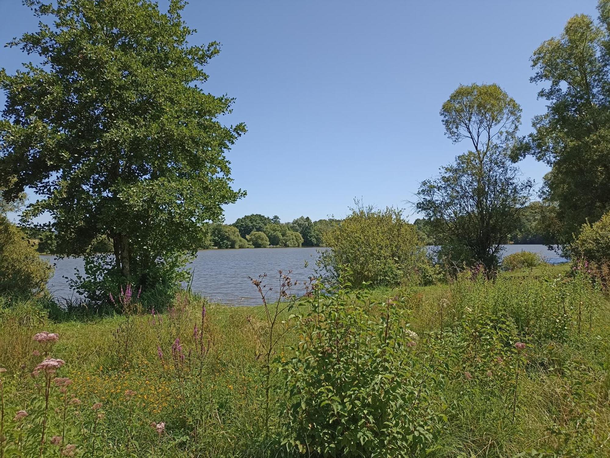 Gite Nature Et Detente Aubréville Exterior foto