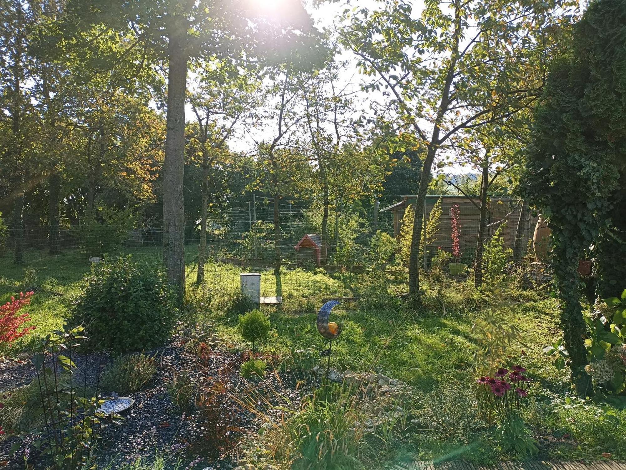 Gite Nature Et Detente Aubréville Exterior foto